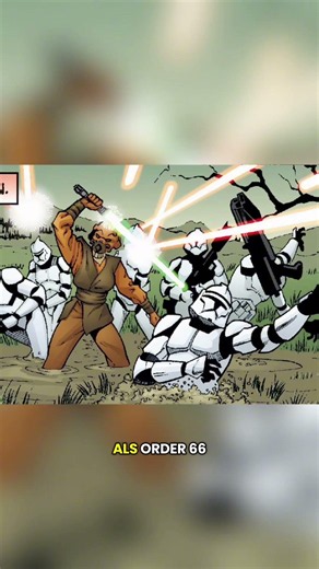 Die Nichte von Plo Koon