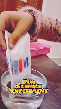 Capillary Action Science Experiment | Fun and Easy School Science Project | Diva - The Explorer 02