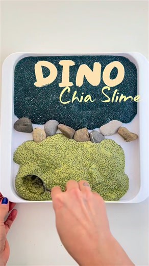 LARA| Mom-Life | DIY | Spielideen 🌈🎲🫟 on Instagram: "Wir lieben Sensory Play. Wir lieben Dinos. Also warum nicht beides kombinieren? 🦖💚 Diese Chia-Dino-Landschaft ist bei uns ein absoluter Dauerbrenner, weil es so viele unterschiedliche Konsistenzen gibt: ein bisschen flüssig, ein bisschen fester, dazwischen Dinos, matschen, fühlen, spielen. Und ja – am Ende wurden natürlich wieder alle geschrubbt 😄 Rezept: • 4 EL Chia-Samen • 300 ml Wasser • Lebensmittelfarbe (optional) Alles gut umrühren