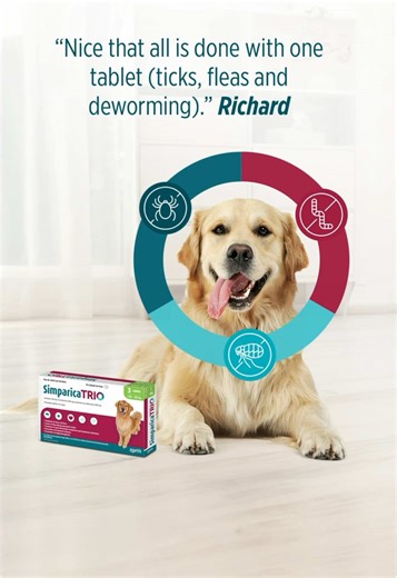 SIMPARICA Trio is the go-to parasite protection for many South African dogs, tackling hookworm, heartworm, roundworm, ticks, and fleas 🐕🇿🇦 But don’t just take our word for it – check out some of our recent Takealot reviews! #SimparicaTrio #TripleAction #TripleProtection