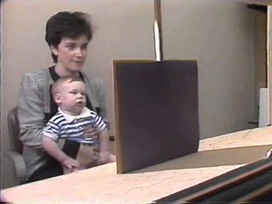 Cognitive Development | Lifespan Development