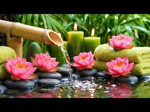Quiet Zen Garden 💧 Spa Water Sounds for Deep Relaxation