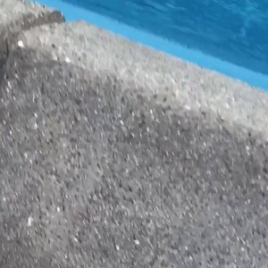 House guest! Catch and release…spider released unharmed and healthy ❤️ Happy Sunday | Nicole Kidman