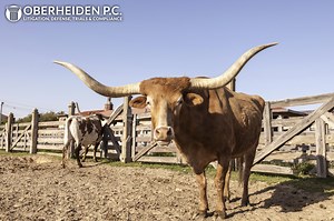 San Antonio Federal Criminal Defense Attorneys - Federal Lawyer