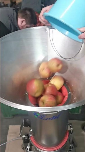 ZOTTEL 5.5 kW Electric Apple Crusher