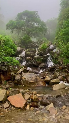 #TARIQUÍA ‌EL PARAÍSO Y PULMÓN DE TARIJA ‌RESERVA NACIONAL DE FLORA Y FAUNA DE BOLIVIA #Tarija #Bolivia 🏞️🇮🇩🇧🇴 ‌Tariquía es considerado un bosque húmedo, generando importantes cantidades de agua, no solo por los ríos que pasan por esta reserva, sino por el sudor de los mismos árboles. En este caso, los vientos también cumplen un rol fundamental. ‌ ‌Entonces, el nombrar a Tariquía como el “pulmón de Tarija”, no estaría muy errado, siguiendo esta lógica. ‌Tariquía tiene una superficie de 246.