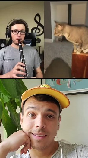 #duet with @joedifioremusic try and stop me