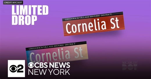 NYC DOT sells Taylor Swift-inspired Cornelia Street signs