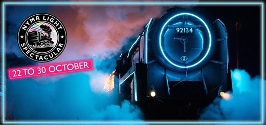 1.7K views · 183 reactions | NYMR Light Spectacular - 22 to 30...