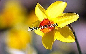 A Játéktervezővé Váláshoz Szükséges Készségek | Munkaleírások - 2026