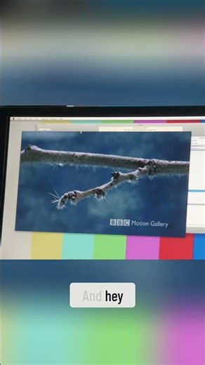 Video Encoding Test (Apple Internal Software)