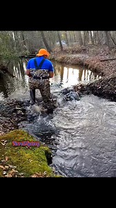 Beaver Dam Removal! || Ooo Beeaaverrs!! Can You That Beavers! 🌊🦫 #gatorcreek #beaverdamremoval #beaverdam #beavers #drain #terrellspivey #fypシ゚ #foryoupageシ #viralvideo #viralFBvideo #FBVIDEO #fb #viralfb #viralreelsシ #fbreel | Terrell Spivey