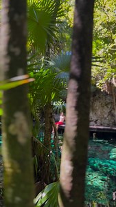 Don’t live in later. Live in now. 🌿💧 No lo dejes para después. Vive hoy la experiencia: naturaleza, río subterráneo y un espacio único para relajarte en la selva. ☀️ 📍Cenote Minotauro, Playa del Carmen #cenotesmexico #liveinnow #playadelcármen | Cenote Minotauro MX