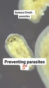 How to prevent parasites #barbaraoneill #parasites #parasitecleanse #parasiteprevention | The Plantiful Life Page