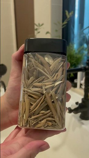 Olive Tea Quick & Easy Recipe ✅ Fresh Olive Leaf into Tea 🫖