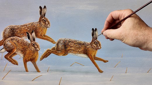 See how the hares I watch here on the Yorkshire Wolds inspire a new painting 🎨🖌🐇and follow my process as I bring these scenes to life | Robert E Fuller