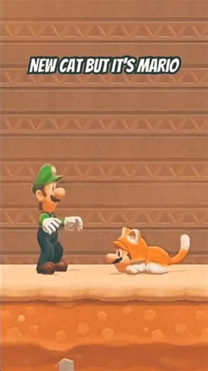 New Cat But It’s Mario #mario #shorts #memes