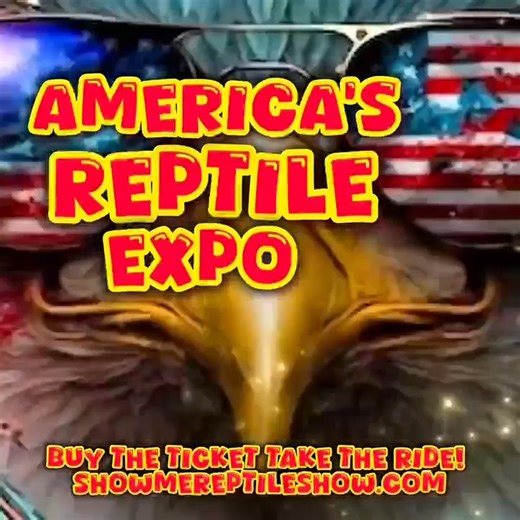🐍✨ Step into the world of reptiles like never before at AMERICA'S REPTILE EXPO! ✨🐢 From slithering snakes to colorful chameleons, Show Me Reptile Shows brings you the ultimate reptile and exotic pet experience. 🌎 Whether you’re a passionate keeper, a curious first-time visitor, or just love amazing animals, there’s something for everyone! ✅ Meet top breeders & vendors ✅ Explore reptiles, amphibians, invertebrates, aquatics, plants & more ✅ Family-friendly fun with hands-on learning 🎟 Tickets
