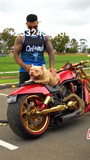 #africa #reels #viralvideo #challenge #chicken #christmas #ghost #python #viral #reels #viralvideo