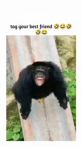 Amazing Things In The World on Reels