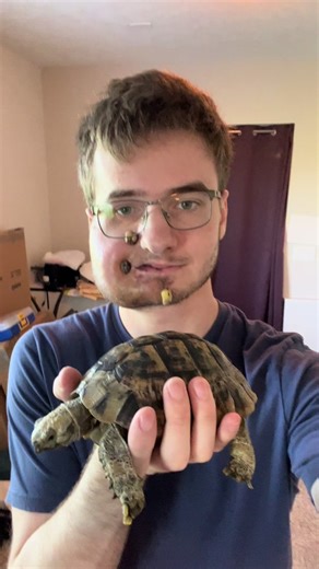 Meet Ivan: My 12-Year-Old Greek Tortoise with a Big Personality!