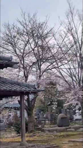 「親鸞聖人の遺跡をめぐる」新潟県上越市・浄興寺 数々の貴重な文化財があるお寺