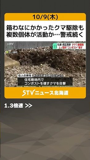 箱わなにかかったクマ駆除も 複数個体が活動か…警戒続く 上ノ国町ではコンポスト壊す 北海道 #shorts