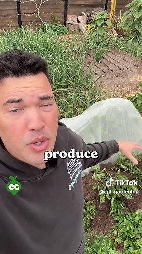 Growing Potatoes: 8 Methods to Try This Year