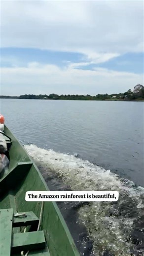 5 Things Nobody Tells You About the Amazon Rainforest 🌴