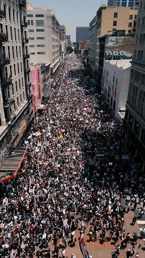 Proud of LA! “No Kings” Protest today in Los Angeles. June 14, 2025. | Christine Elise McCarthy