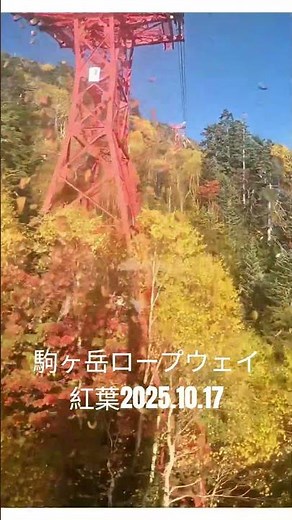 絶景 駒ヶ岳ロープウェイからの紅葉 #絶景 #旅行 #ショート #travel #アッチャンネル #中央アルプス #紅葉 #駒ヶ岳ロープウェイ #登山 #japan #japantravel