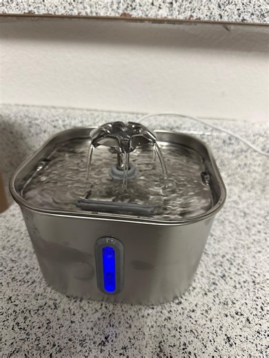Watch Amazing Cat Water Fountain SARPAWS - REVIEW on Amazon Live