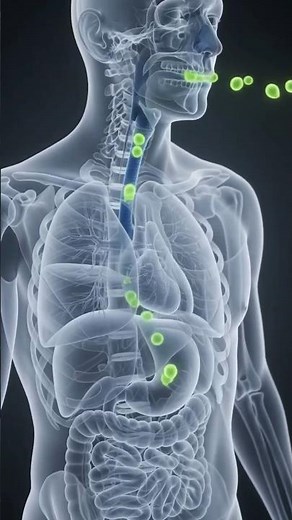 How Your Immune System Works #ImmuneSystem #HumanBody #Anatomy