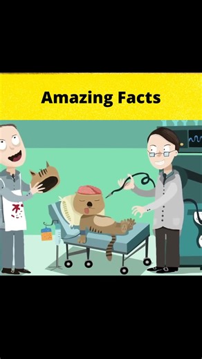 The Curious Story of the Cat Telephone! || #shorts || #FactBeast