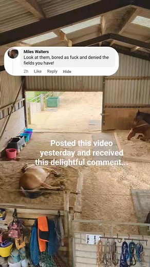 180K views · 3.5K reactions | Another delightful comment. But none the less, a great prompt for me to explain what we do here and why for anyone new here  | Abbotts View Livery: Barefoot and Back to Nature | Facebook