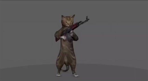 Cat Shooting Memes Collection