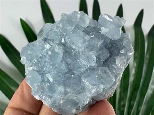 Celestine (celestite):madagascar Crystal Cluster – Heavenly Blue Mineral Specimens From Madagascar,n121 - Etsy