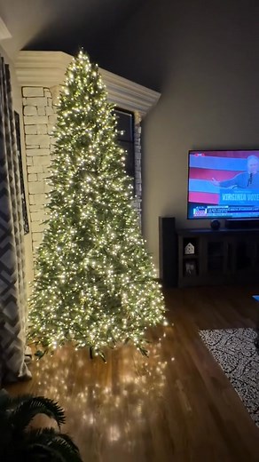 Tested out my new Clark Griswald tree today. It’s a beaut, Clark ~ all 4,500 lights of it. I will go ahead and highly recommend bringing sunglasses for anyone visiting during the holidays 🤭 | Michelle Phillips