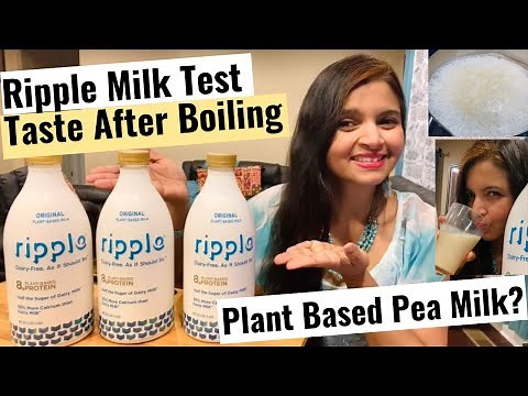 IS RIPPLE PEA MILK A GOOD ALTERNATIVE? | TASTE TEST & REVIEW | PLANT BASED PROTEIN RICH VEGAN MILK?