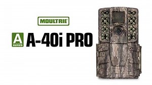 31K views · 128 reactions | Easy, covert, reliable, affordable. Day or night, capture crisp images and 720p video. | Moultrie Products | Facebook