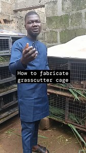 Access2farm on Instagram: "How to fabricate grasscutter cage housing #grasscutter #farm #farming #farmlife #animals #food #access2farm #farmer #bushmeat #business #nigeriantiktok🇳🇬 #lagos"