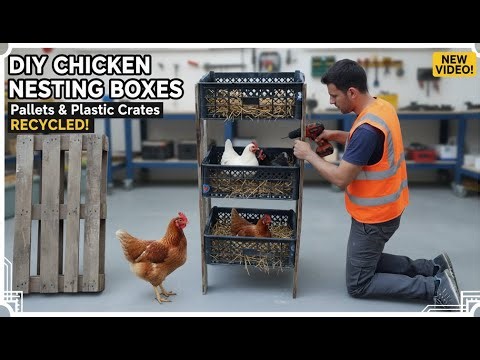 Brilliant DIY Chicken Nesting Box from Upcycled Materials
