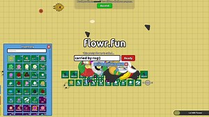 flowr.fun 如何装大佬