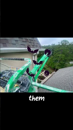 Atlanta Bat Removal