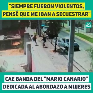 151K views · 913 reactions |  "Hasta el día de hoy tengo miedo", dice una de las tantas víctimas de la banda del "Mario Canario", una agrupación sumamente violenta que se dedicaba a asaltar a mujeres en el sector sur de Santiago. | Meganoticias | Facebook