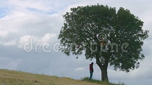 Guy Peeing in Park, Young Man Urinating on Tree, Human Influence on Ecology Stock Video - Video of environment, field: 107937577