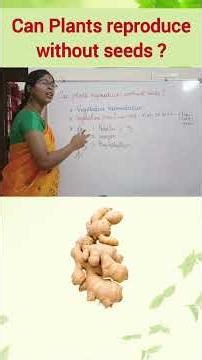 Can plants reproduce without seeds ? | Vegetative Reproduction 🌿 | Class 12 Botany