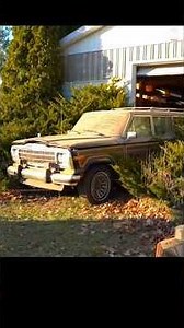 First Detail in Over a DECADE 🚘🧼Will It Run & Shine? 🤔 #BarnFind #JeepWagoneer #ASMR DetailDane
