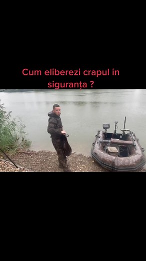 Cum eliberezi pesti in siguranța ?#pestinupovesti #cpkcarpandmore #carpfishing #foxinternational #viraltiktok #carp #zabarlake