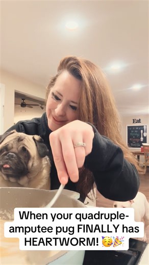 Pearl's Positive Heartworm Test Celebration